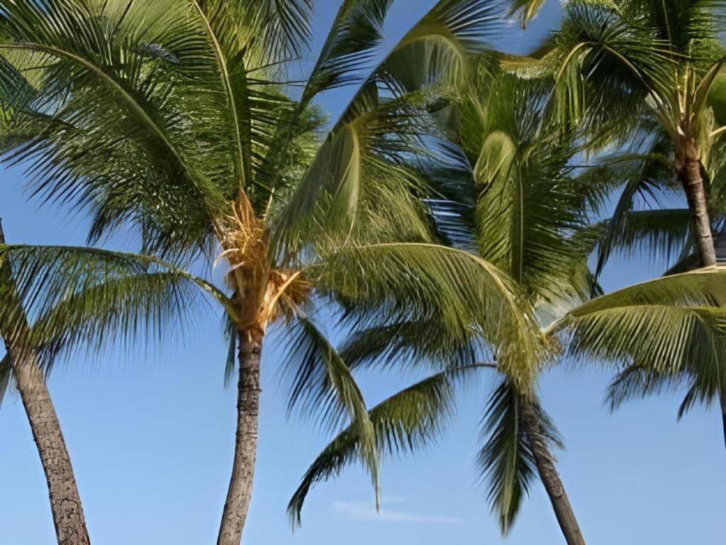 Wyndham Royal Sea Cliff Resort Kailua-Kona Eksteriør billede