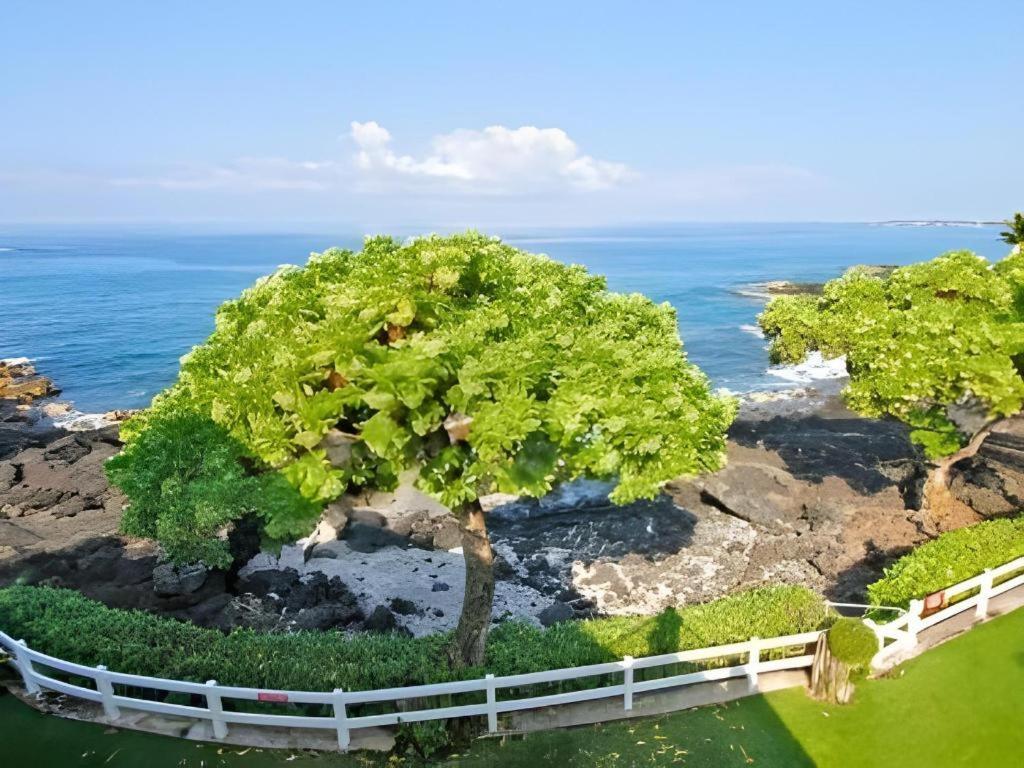 Wyndham Royal Sea Cliff Resort Kailua-Kona Eksteriør billede